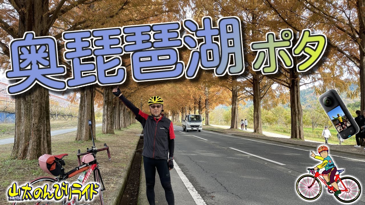 【ロードバイク】奥琵琶湖を走ります。メタセコイアの並木と余呉湖一周のポタ。