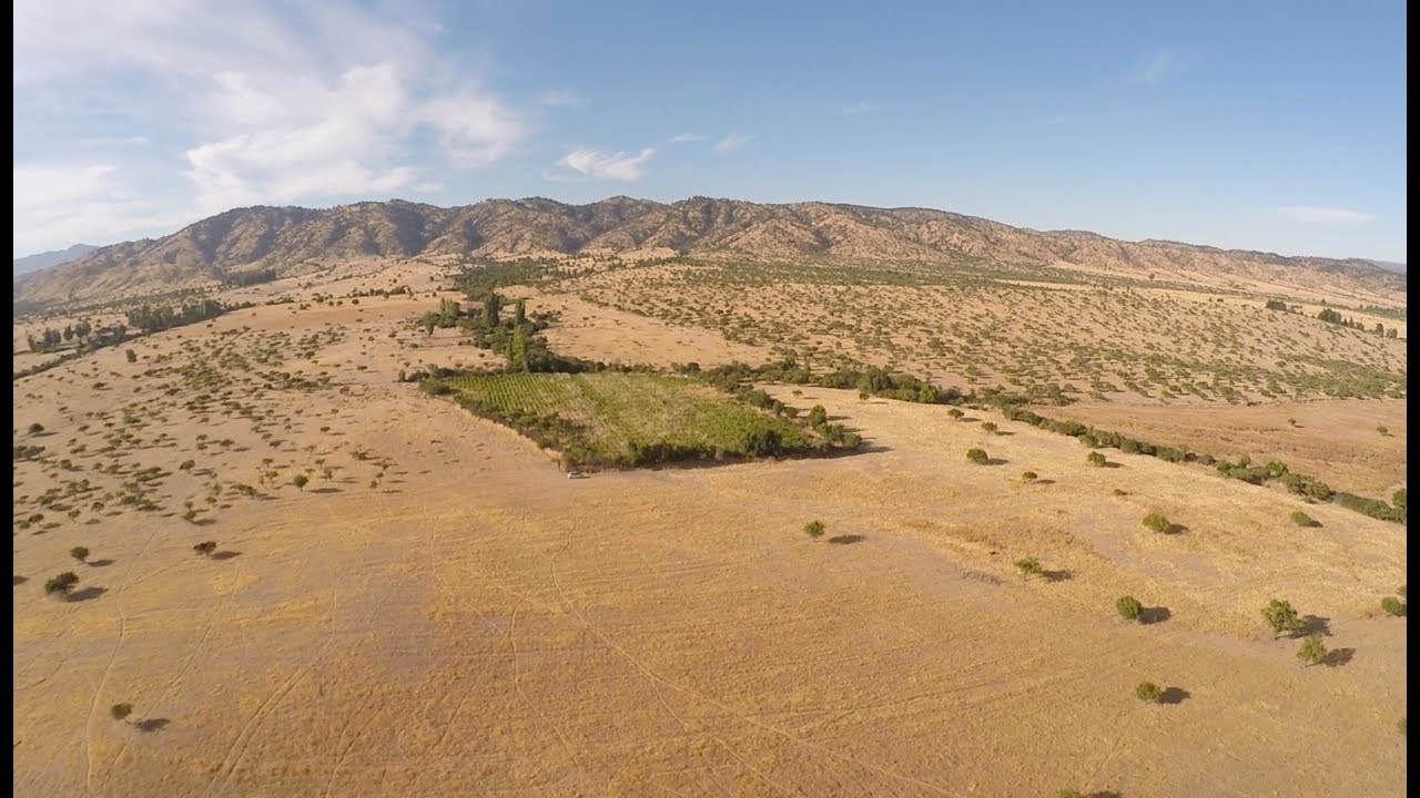 Ravelo & Rabelo, Colchagua, Chile. VINEYARDS AND Drone 4K