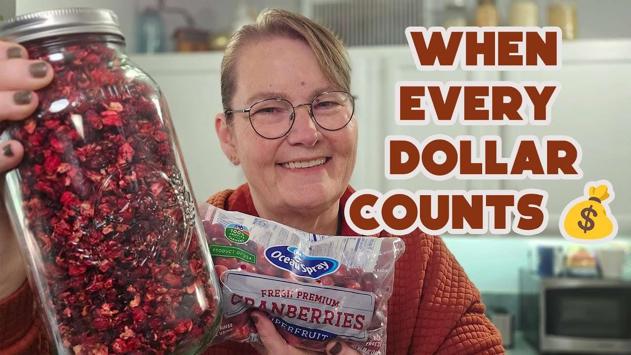 When Money’s Tight, Dehydrating These 99¢ Cranberries Makes a Real Difference