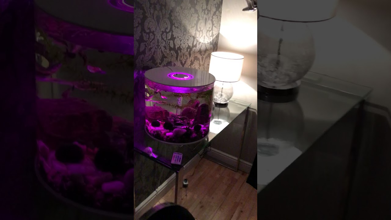 Biorb Tube 35 litre Aquarium