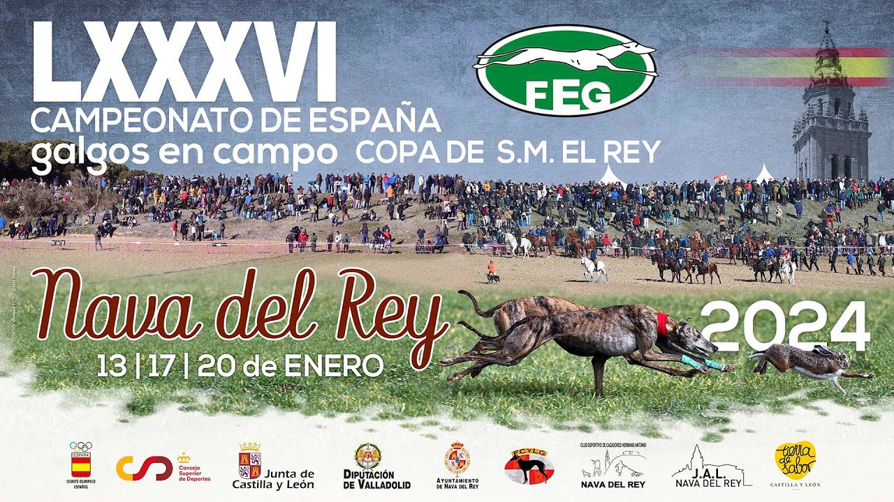 Gala LXXXVI Campeonato de España de Galgos en Campo. Copa de S.M. El Rey