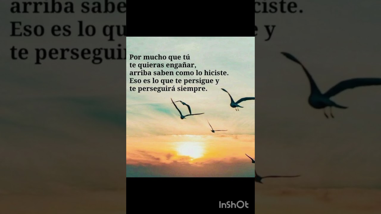 Un mundo mejor 