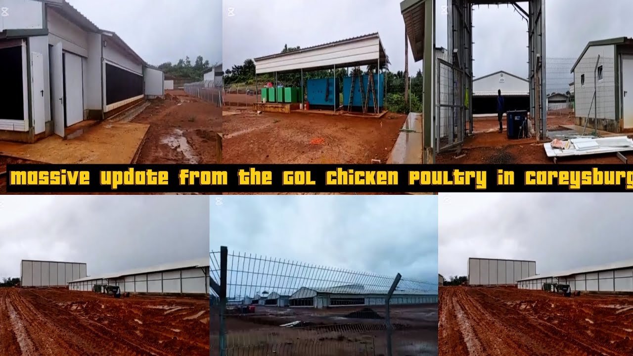 ШОКИРУЮЩЕЕ обновление и визит с огромной птицефермы Chicken Poultry в Кэрисберге, округ Монтсеррадо.