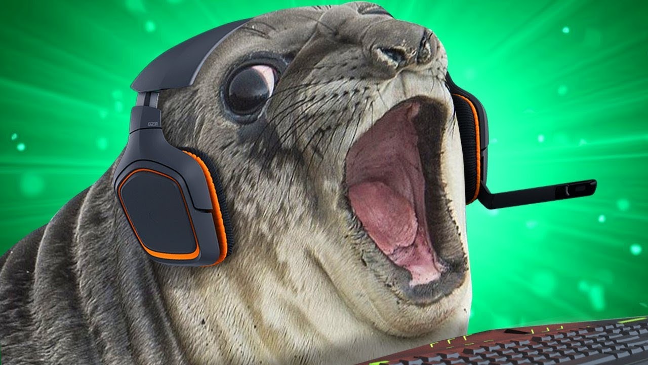 LA FOCA RAMONA - CLIPS