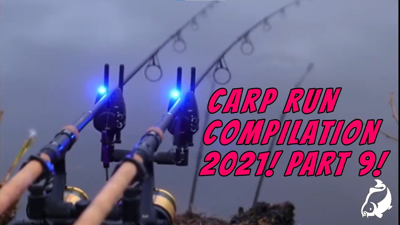 CARP RUN COMPILATION 2021! PART 9!