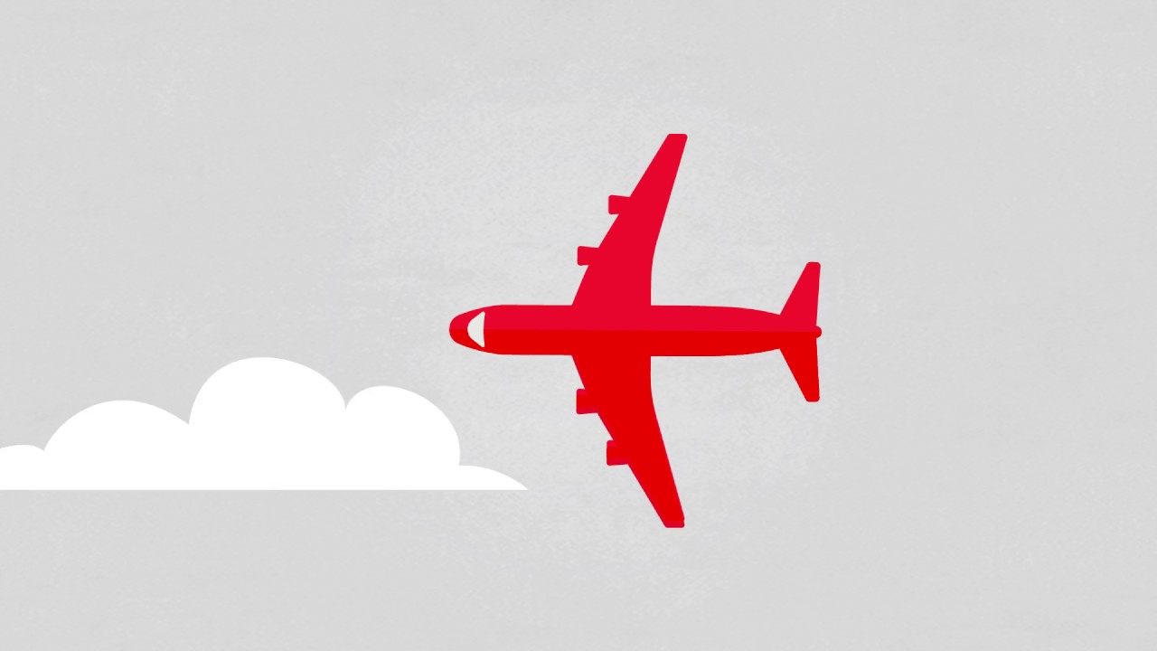 Cayman First Insurance   Health Animation