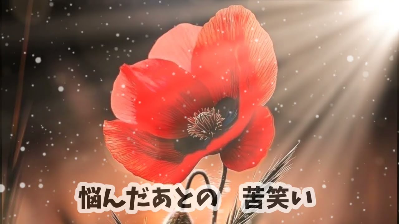 赤い花　すぎもとまさと　cover　カラオケ喫茶ステージワンとくちゃん　