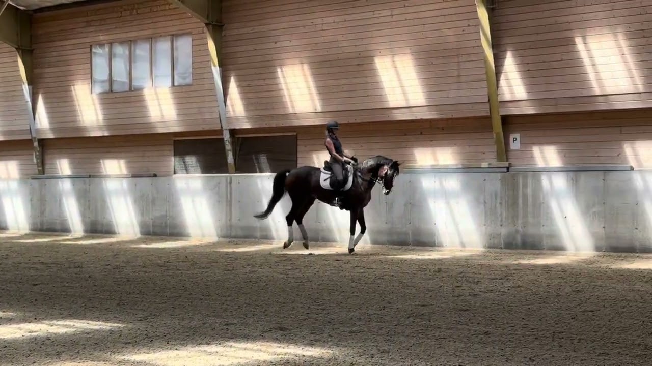 CABALOU Lateral Work 