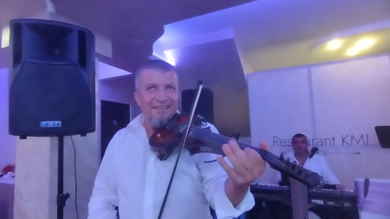 Gabriel Buican - Vioara