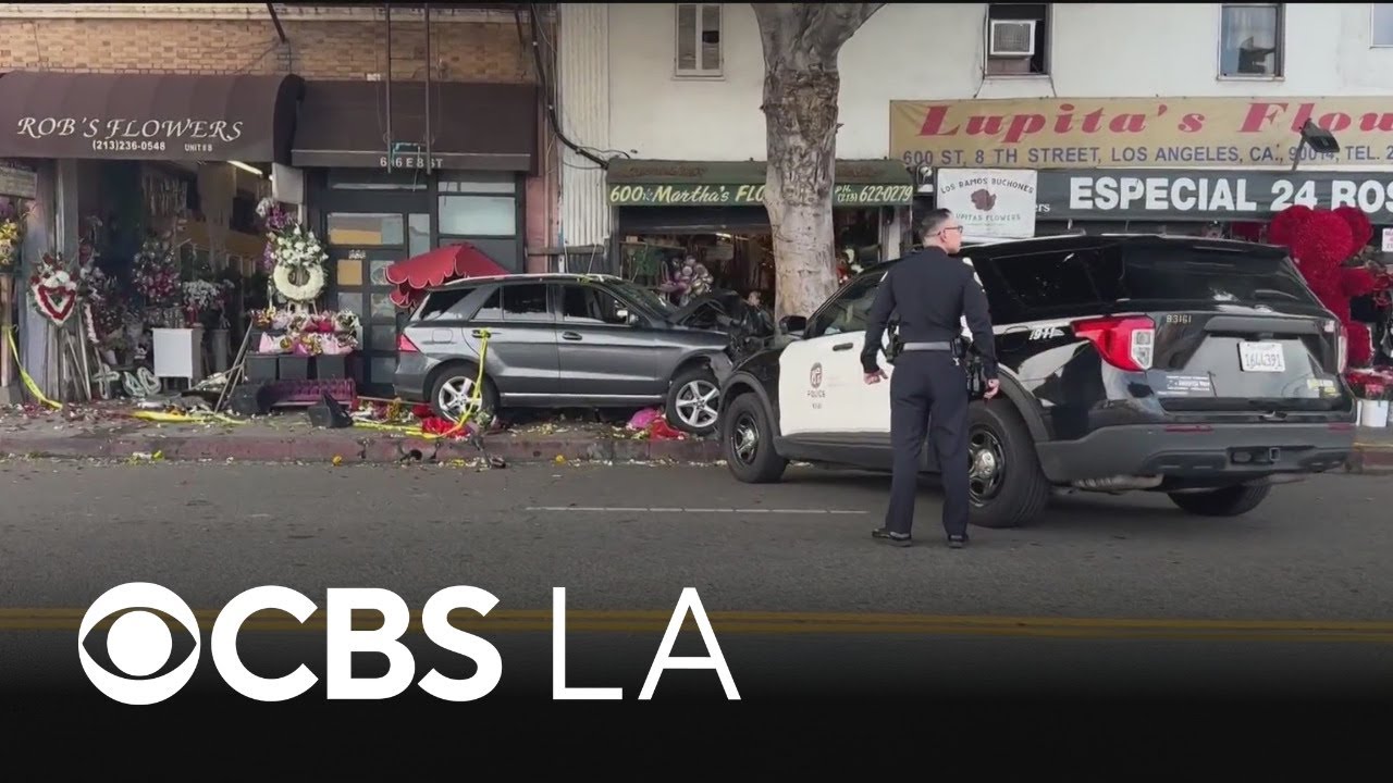 Several people injured after car slams into downtown LA tree