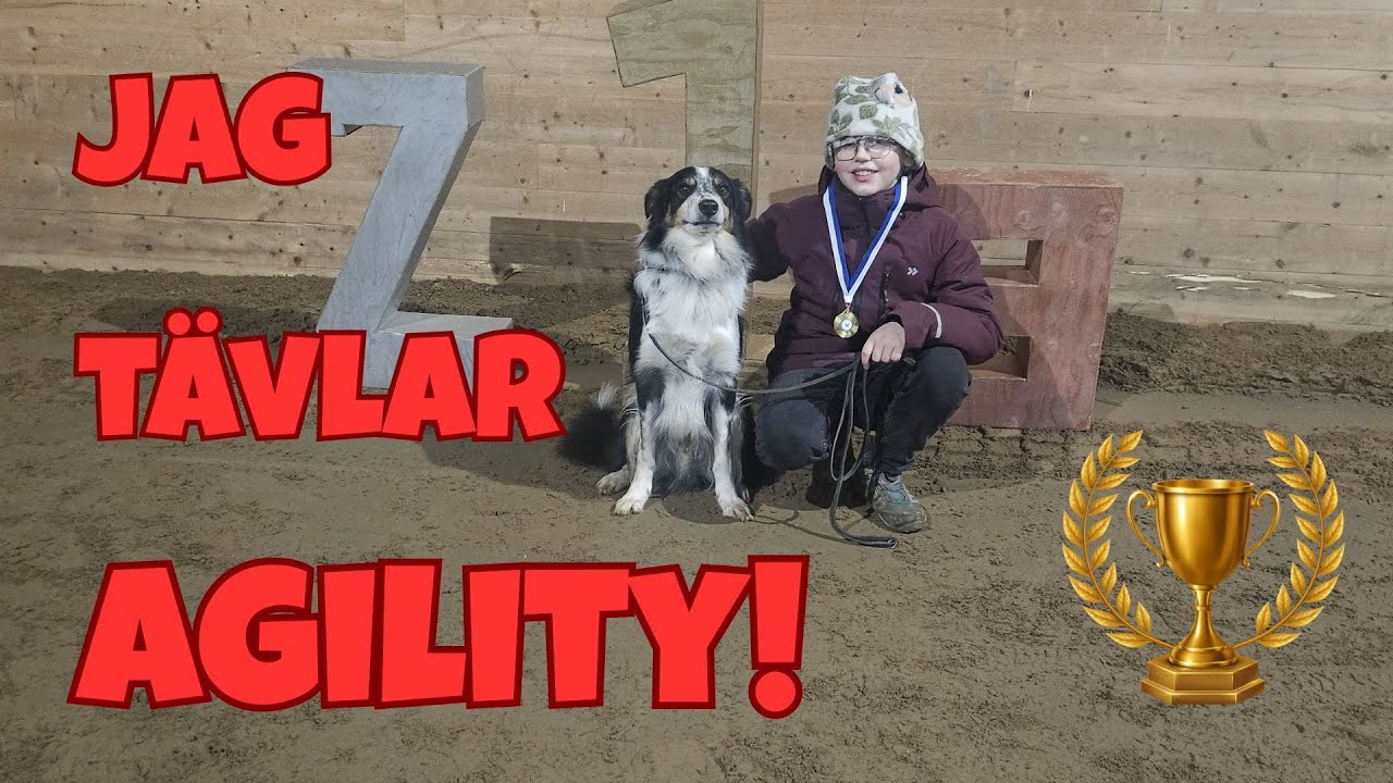 Jag tävlar Agility!