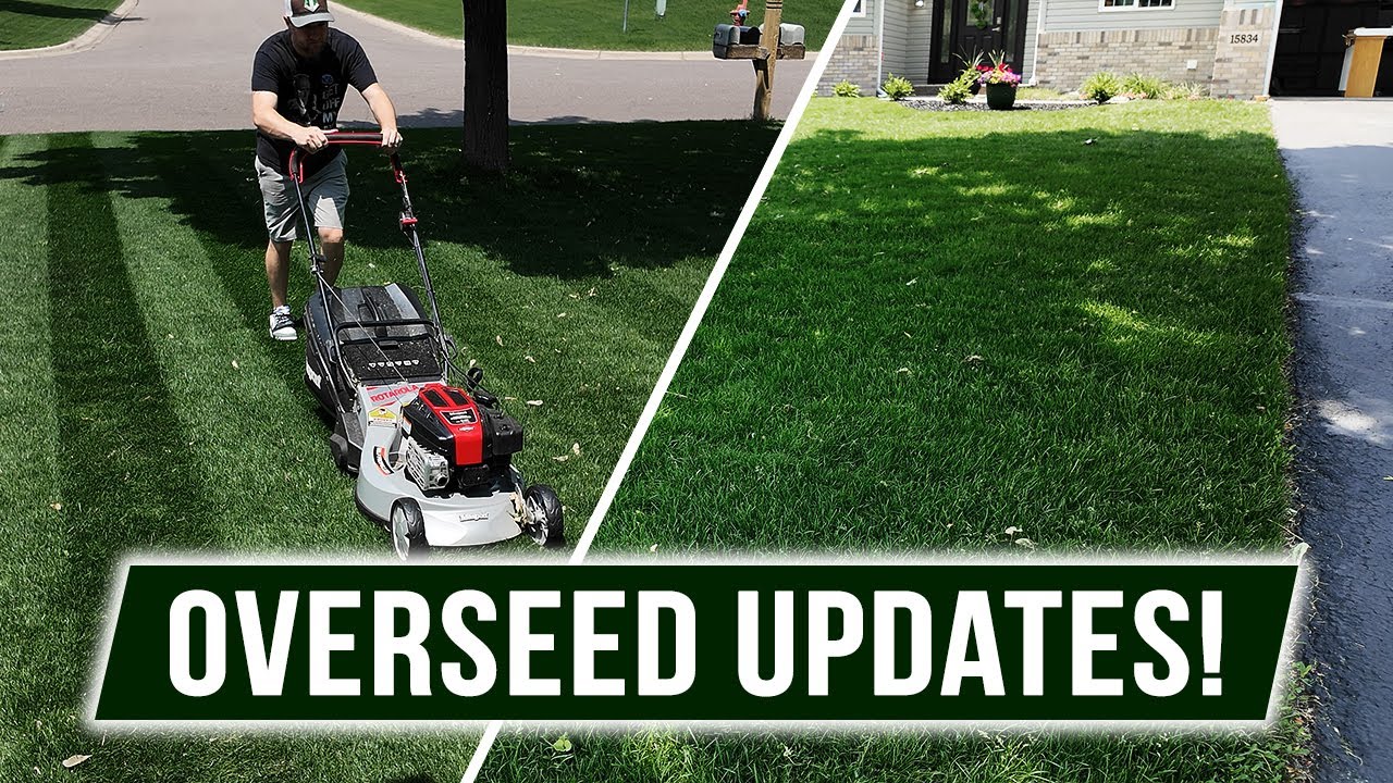 NightShift Dark Legend Overseed Updates