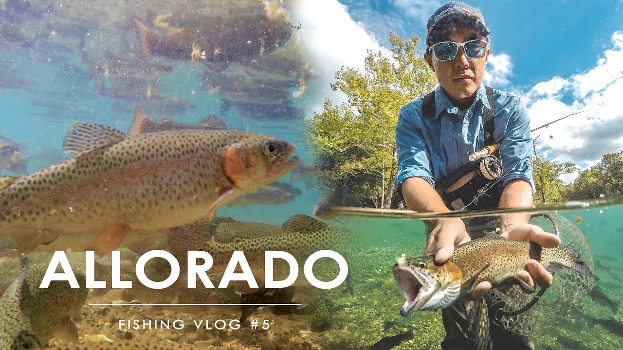 Trout Fly Fishing at Bennett Springs - Lebanon, MO - VLOG 5