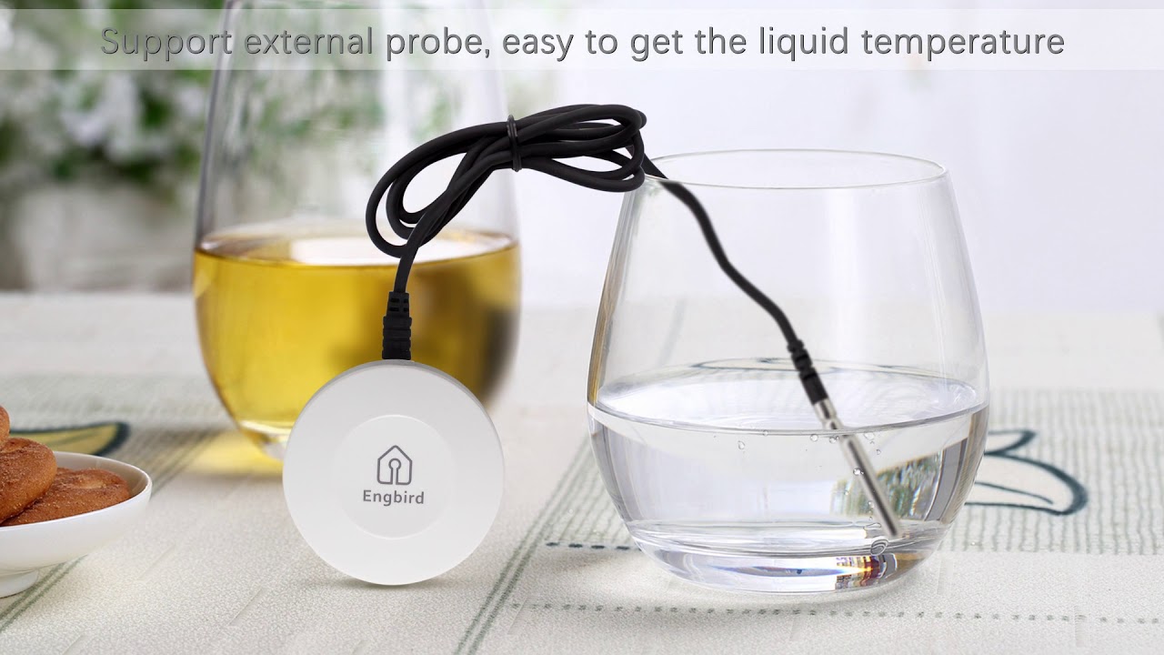 INKBIRD Bluetooth Temprature & Humidity Smart Sensor IBS-TH1