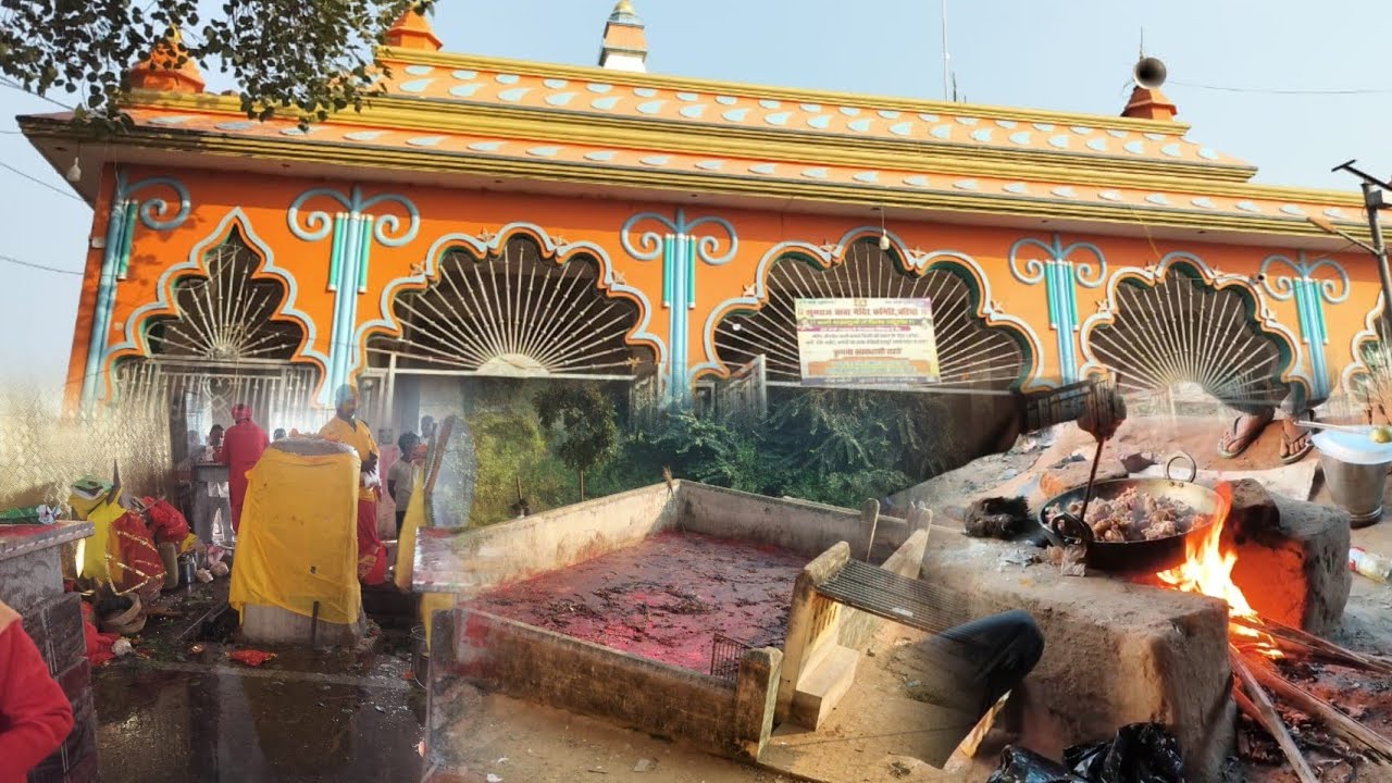 झुमराज बाबा मंदिर बटिया जंगल और मटन  भात बनाए जंगल में / Mutton cooking in jungle #mutton