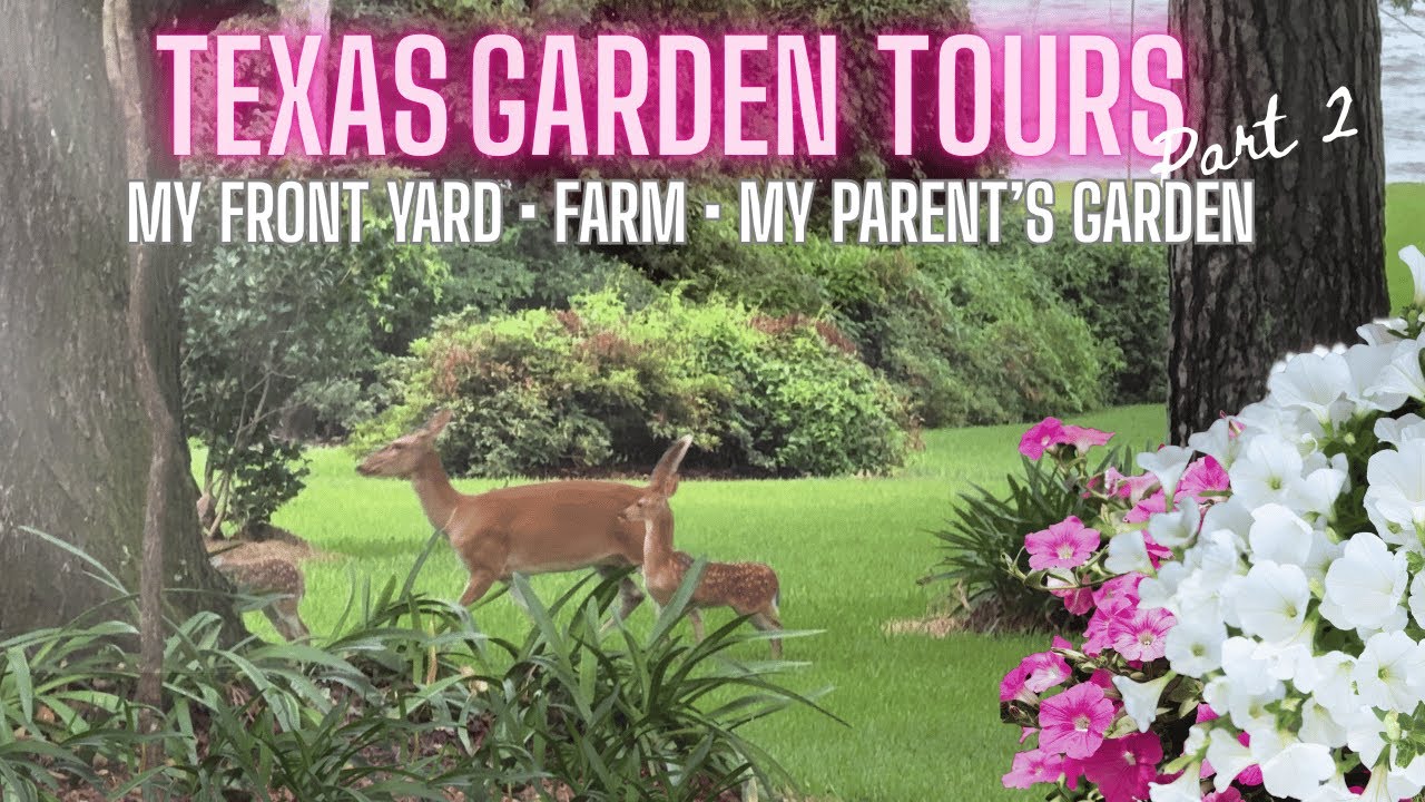 🪴Container Garden Tour + Front Garden Tour + Visiting my Parent's East Texas Garden and Farm!