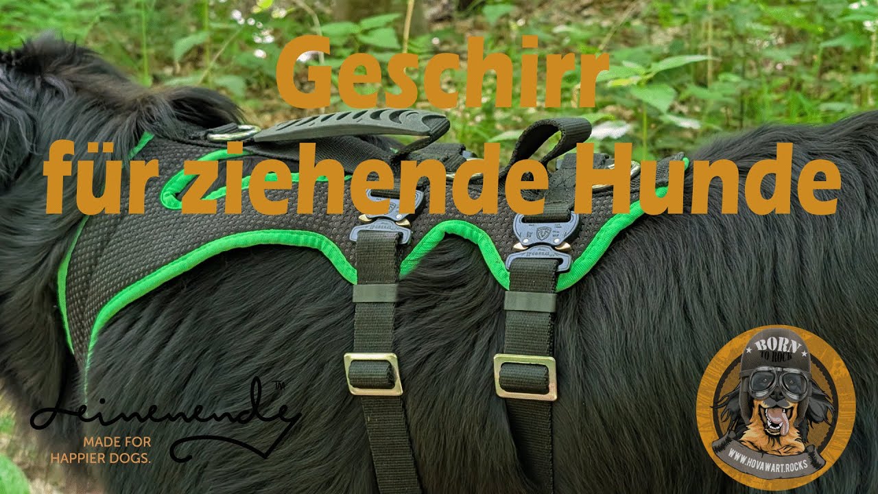 Geschirr für ziehende Hunde, oder welche die ziehen müssen
