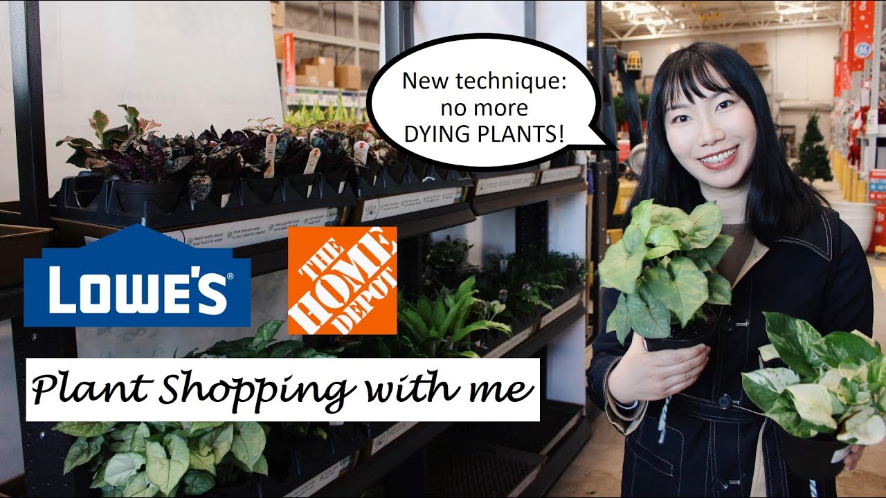 Big Box Store Plant Shopping at Home Depot & Lowe’s | January 2020