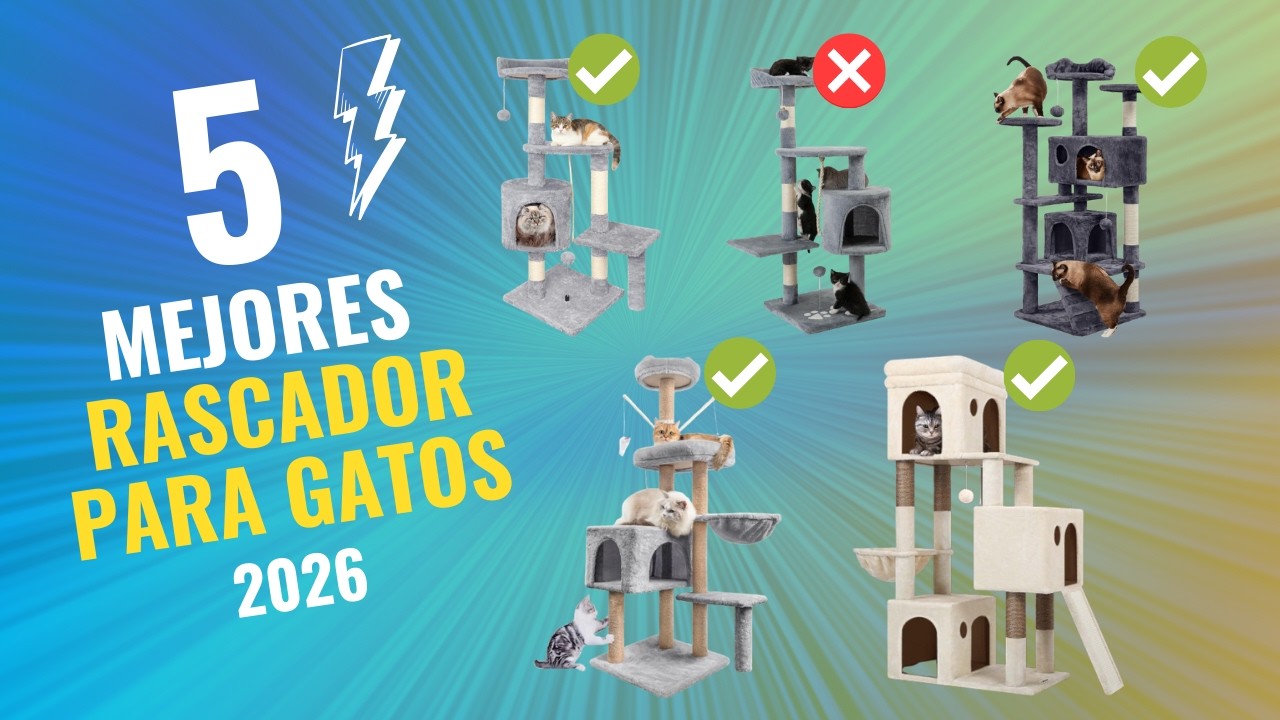 😺🐾 Los 5 Mejores Árboles Rascadores para Gatos de 2026 Calidad-Precio en Amazon ✅