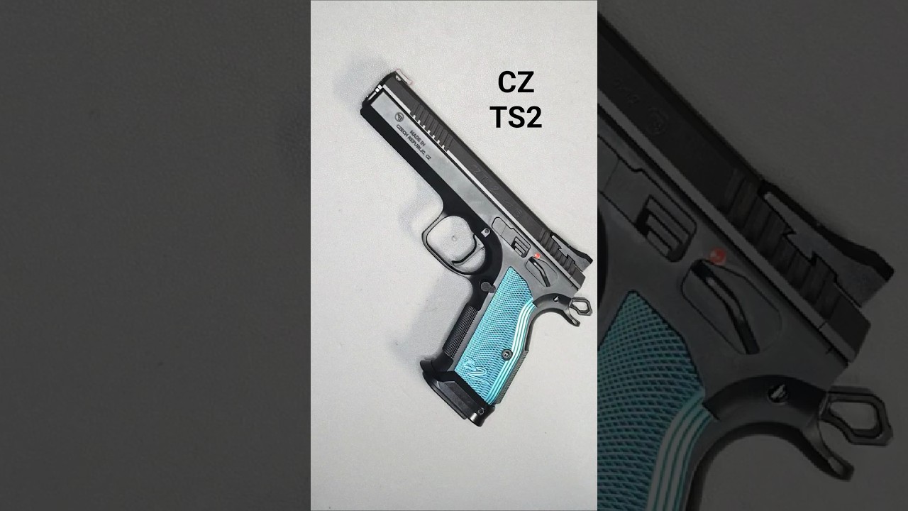 Field strip of the CZ TS2