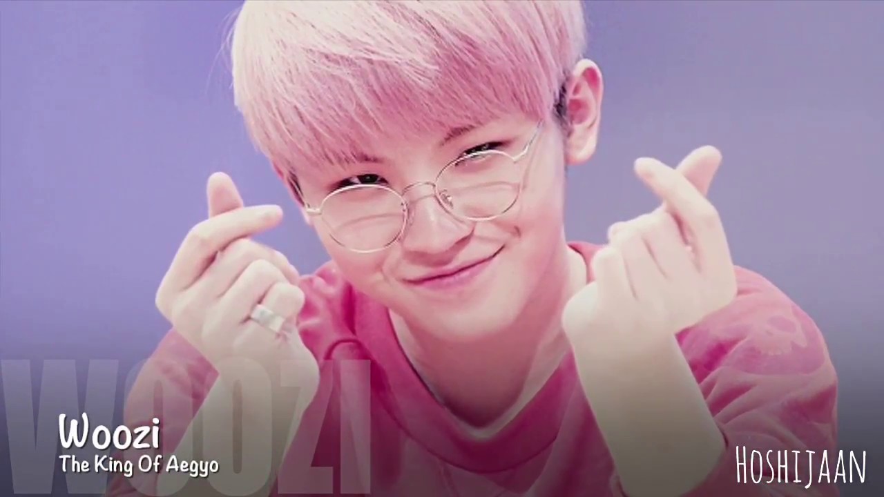 🌸Woozi's Aegyo Compilation #1🌸