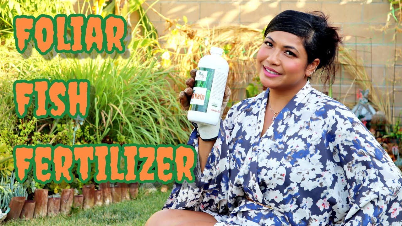 Foliar Feed Spray for Fertilizing Plants!
