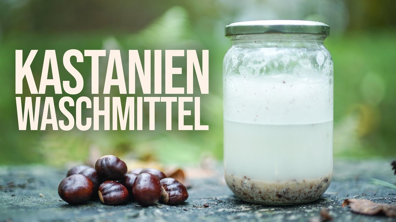 Waschmittel aus Kastanien selber machen - kostenlos & umweltfreundlich