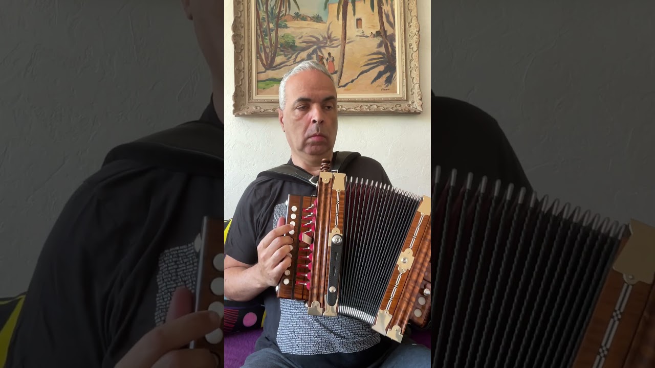 N. Lygeros: Irish ornament. (Cajun accordion Martin) #lygeros #music #cajun #accordion