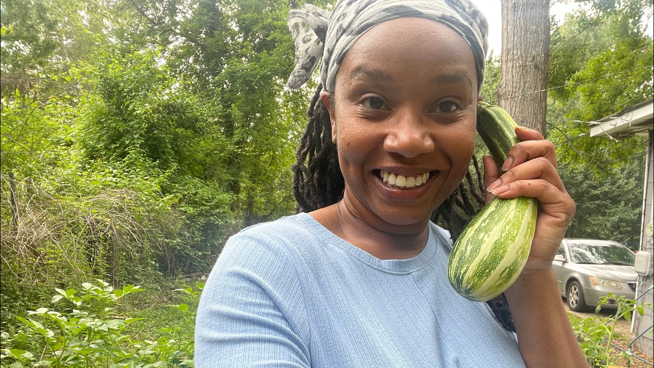 My First Harvest! Garden Maintenance + Rice Water Fertilizer Tips (Zone 8B)