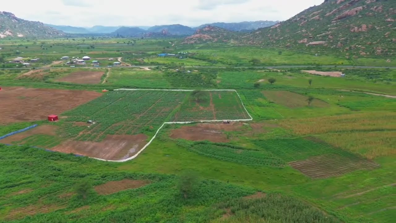 MUQAALKA: Beeraha Dhagaxle