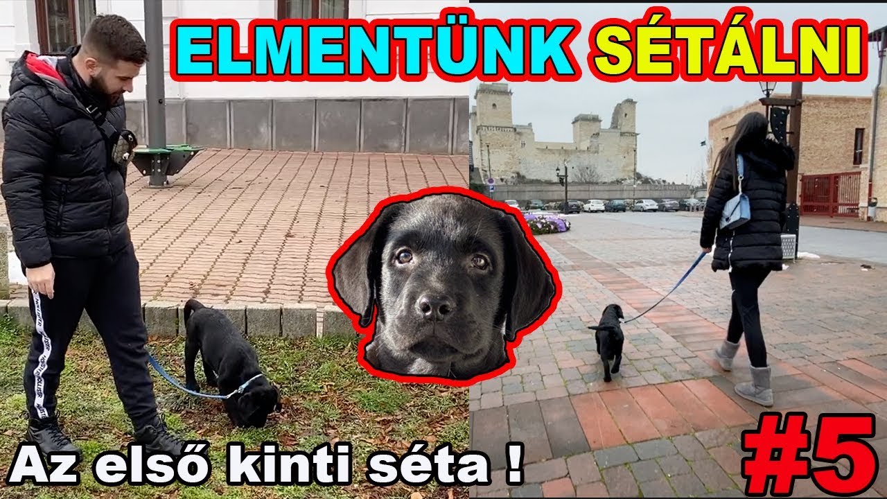 JACK ELSŐ SÉTÁJA ! | IZGALMAS KIRÁNDULÁS | Jack Naplója 5. rész