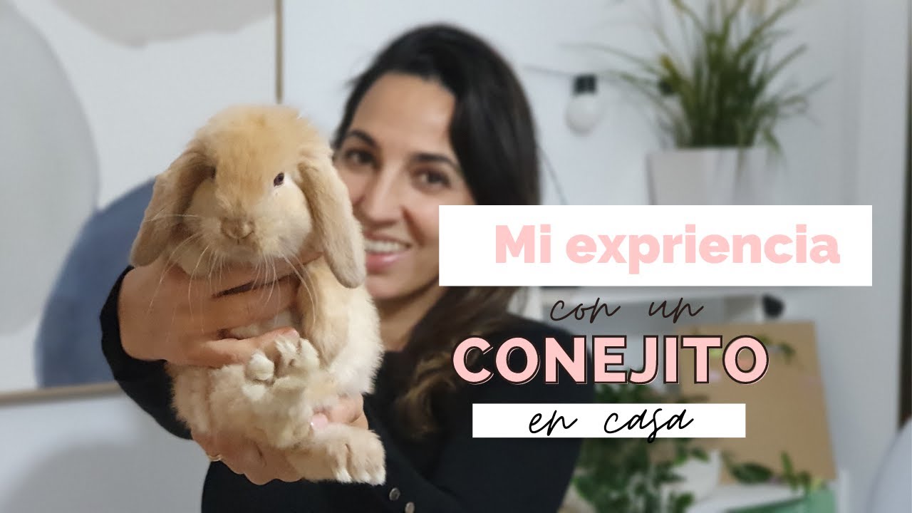 Mi experiencia con un conejo en casa🐰 | LIMPIEZA expr&eacute;s, ORGANIZACI&Oacute;N, alimentaci&oacute;n...