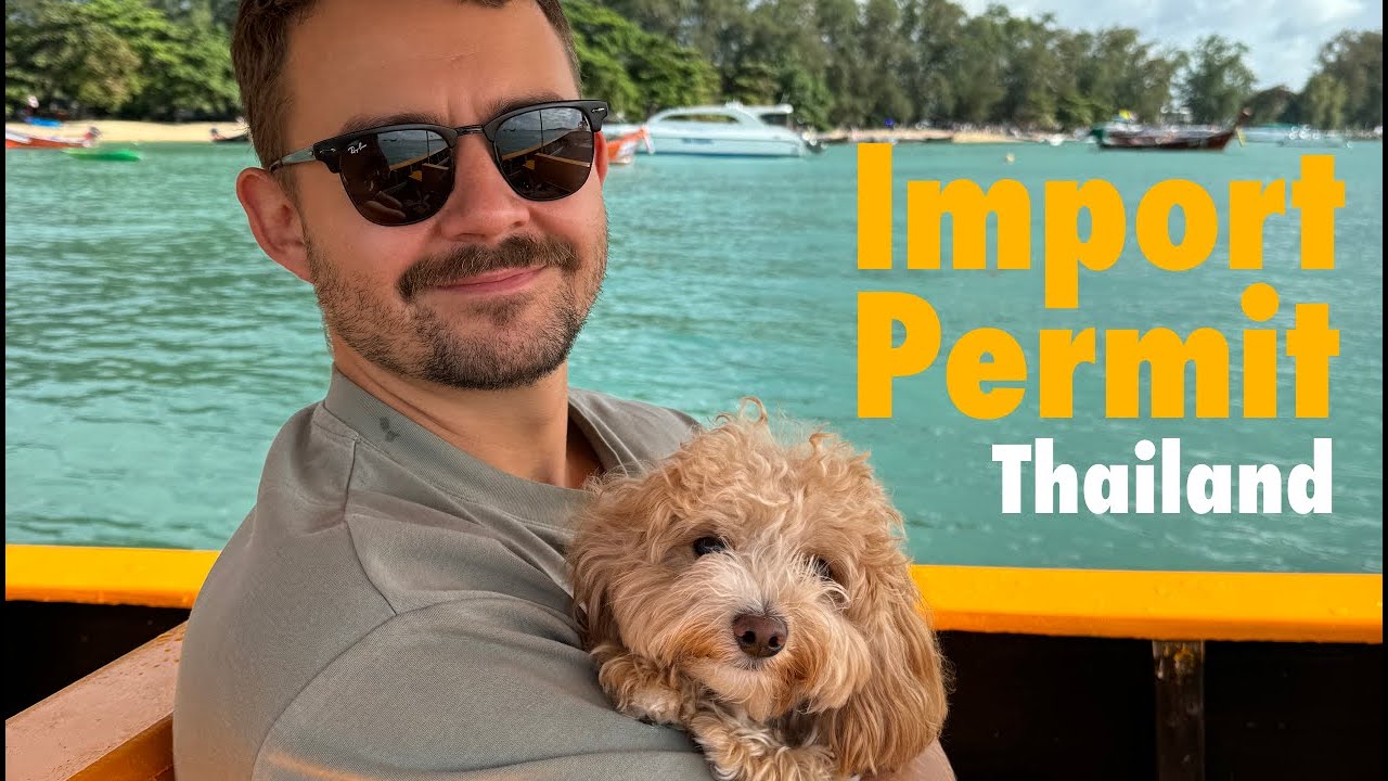 How to bring your pet to Thailand