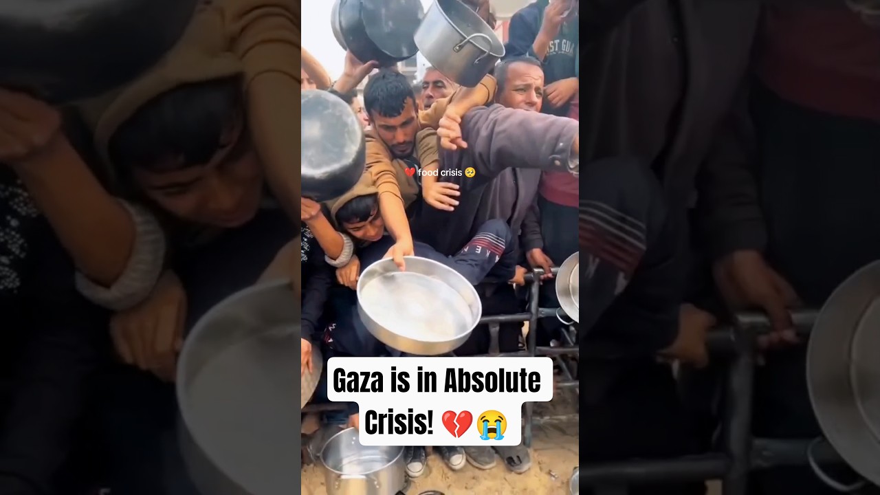 2 million hungry people in Gaza!!💔🇵🇸 #explore #palestine #shorts #foryou #gaza #food #crisis