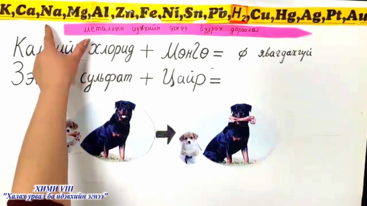 Цахим хичээл] Хими 8-р анги 