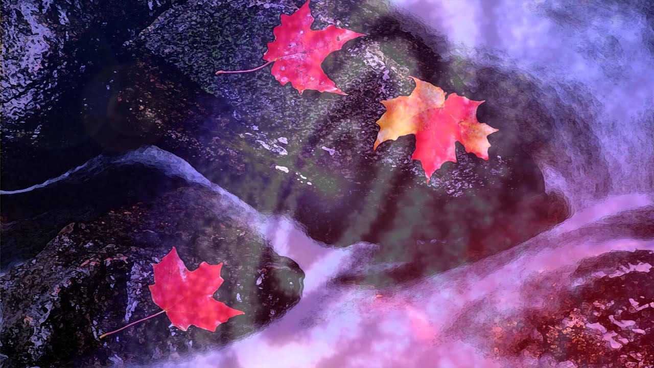 Leey Houdini - November