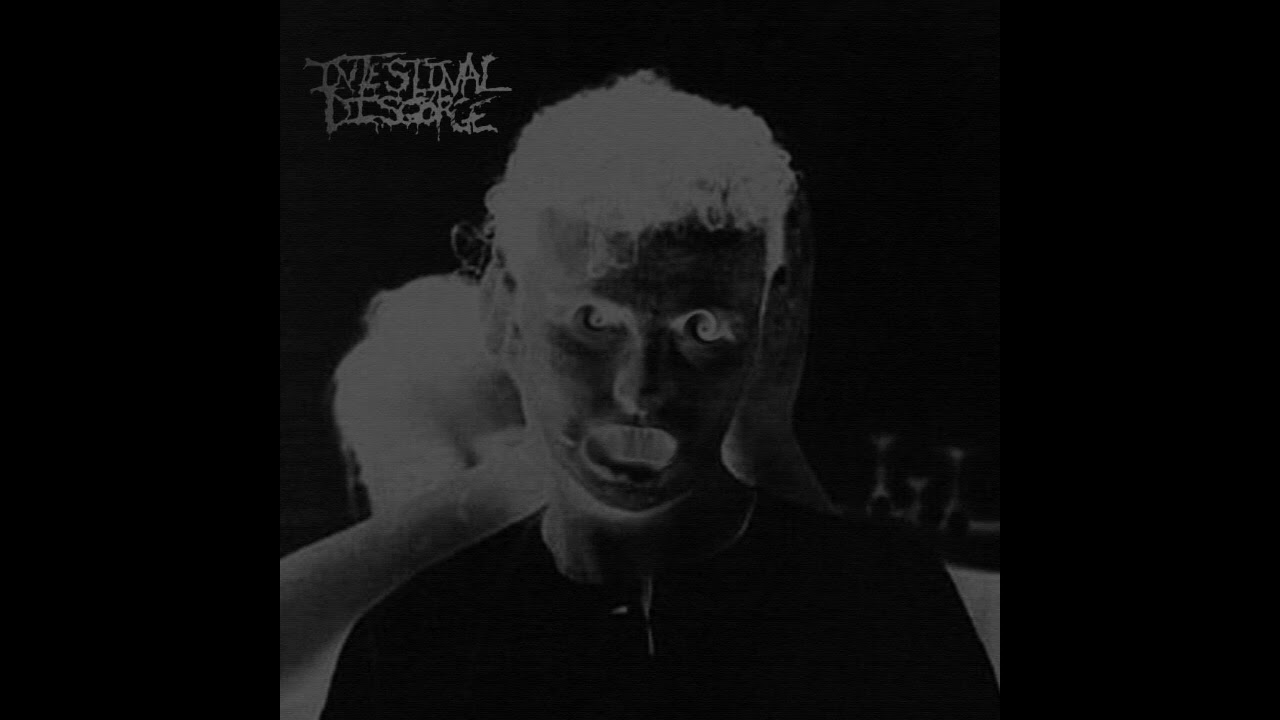 [Cybergrind/Avant-Garde metal] Intestinal Disgorge - Lurking In The Void Between Dreams