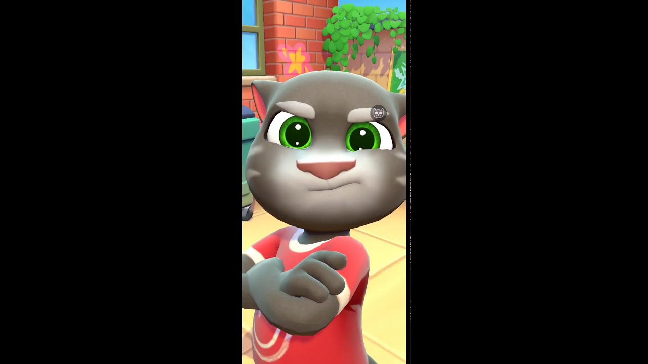 my talking tom 2