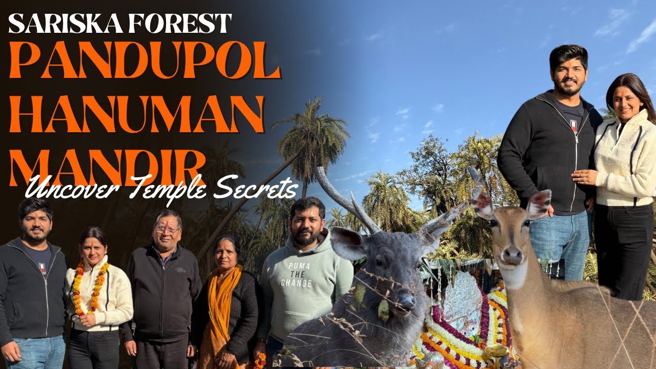 Pandupol Hanuman Mandir Ke Darshan || Raste me Mile Forest animals 🐒🐗🦌🦚