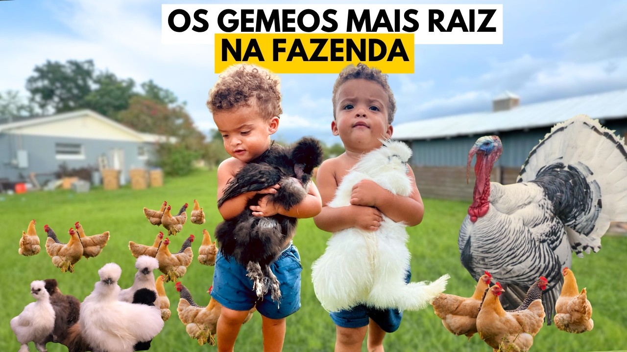 1 Dia na vida dos  Gemeos na fazenda - OS MENINO IGUAL