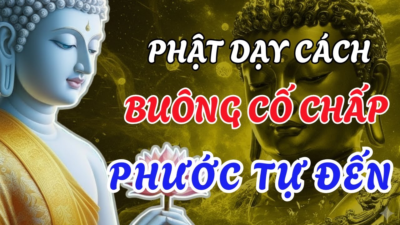 Phật Dạy Về Cách Sống: Buông Bỏ Cố Chấp Để Phước Báu Tự Đến, Cả Đời Cát Tường