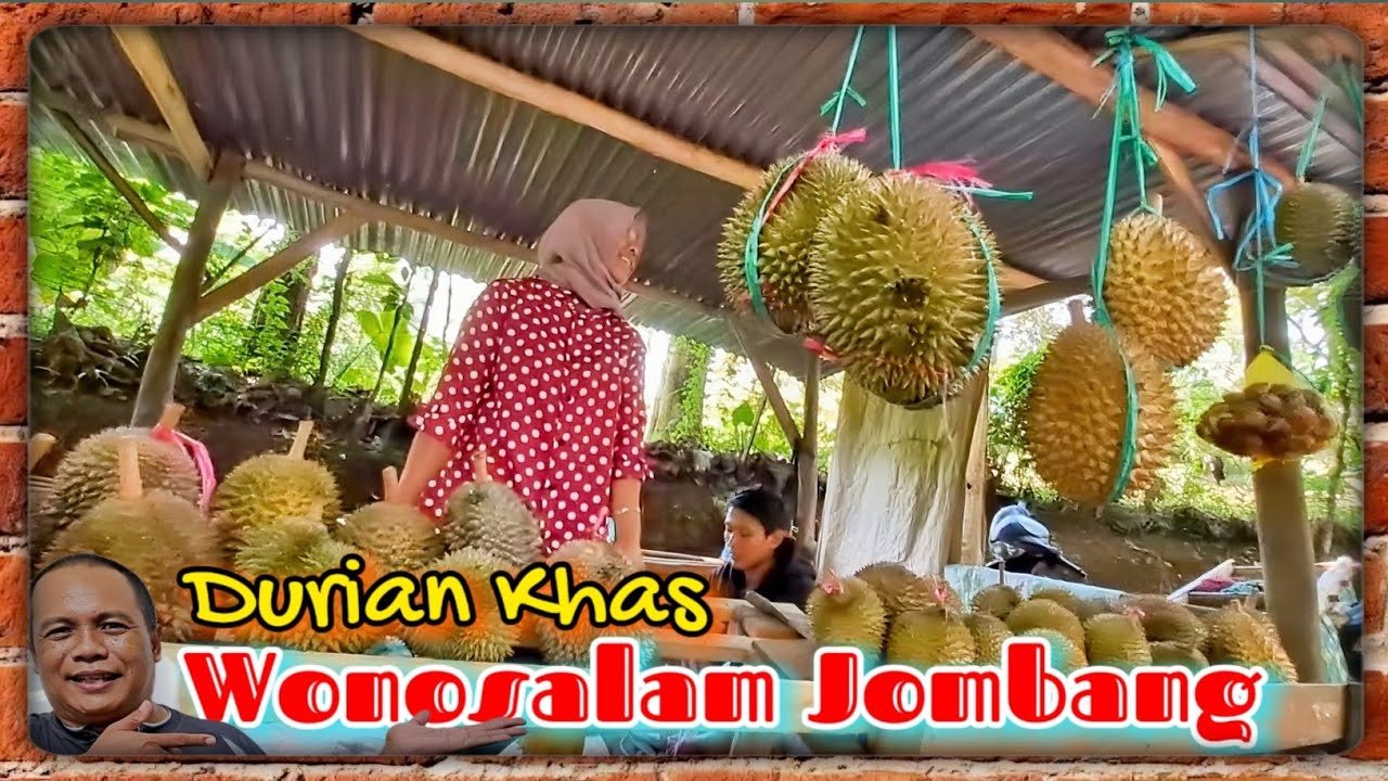 Keistimewaan Durian Wonosalam Jombang