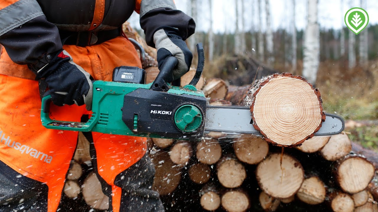 Akkusaha raksalta metsään? | Metsälehti