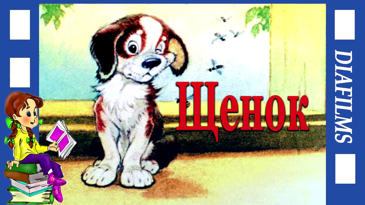 Щенок (озвученный диафильм)