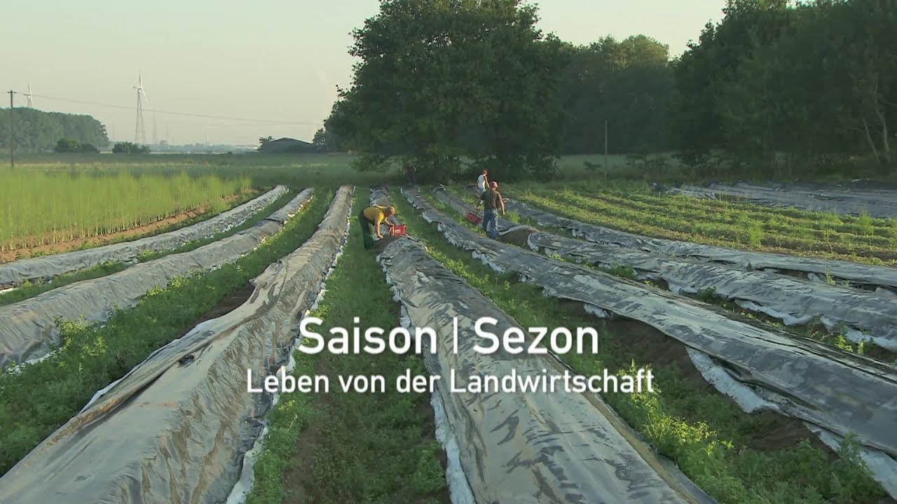 Saison / Sezon. Leben von der Landwirtschaft