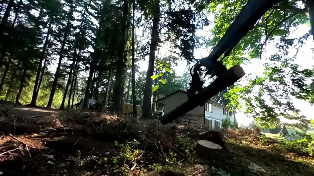Urban Logging [Part 1]