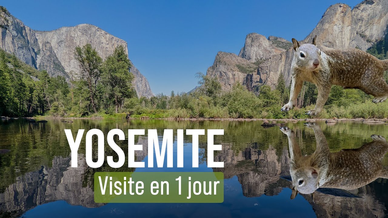 YOSEMITE : visite en 1 jour d’un bijou de la nature en grand danger (Vlog)