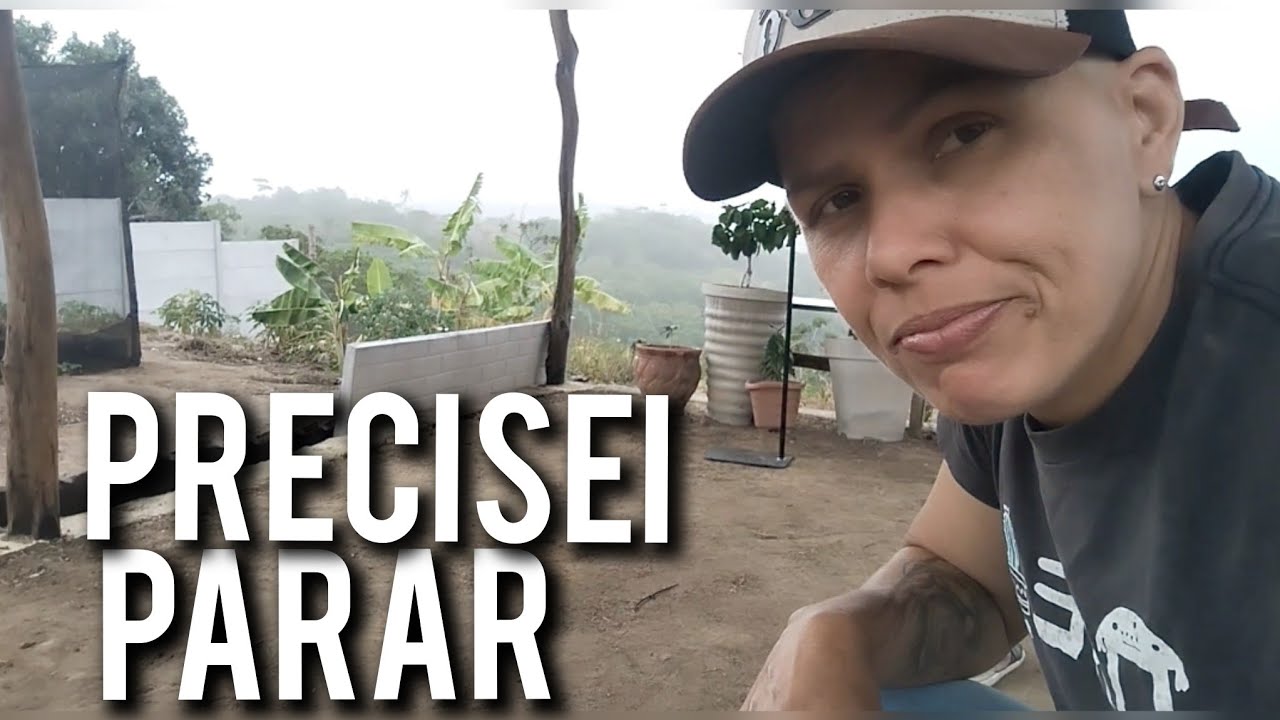 O dia em que meu corpo pediu pausa no sítio