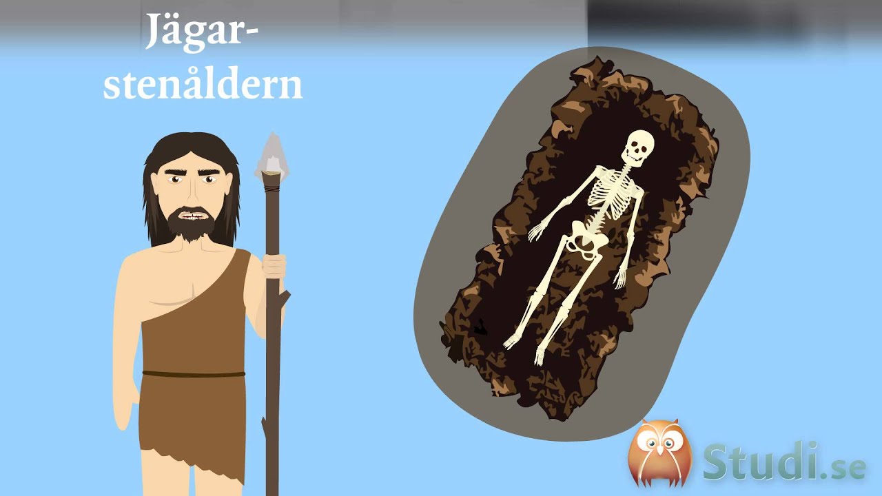 Stenåldern (Mellanstadiet) - Studi.se
