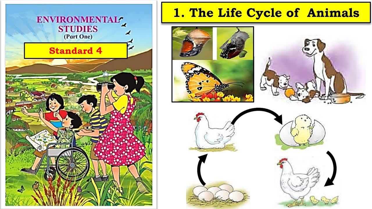 The Life Cycle of Animals | std 4 | Environmental Studies | Maharashtra State Board
